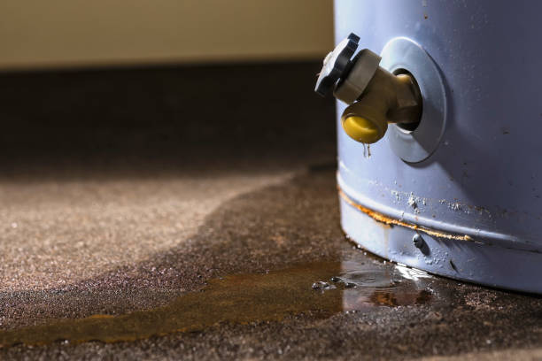 Best Mold removal after water damage  in Tustin, CA
