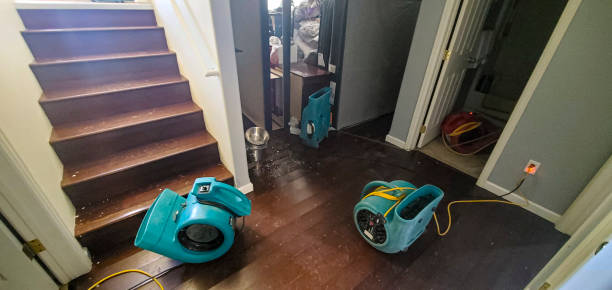 Best Flood damage cleanup  in Tustin, CA
