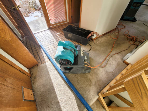 Best Basement water damage restoration  in Tustin, CA
