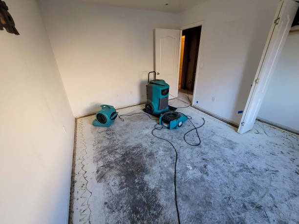 Best Water damage cleanup near me  in Tustin, CA