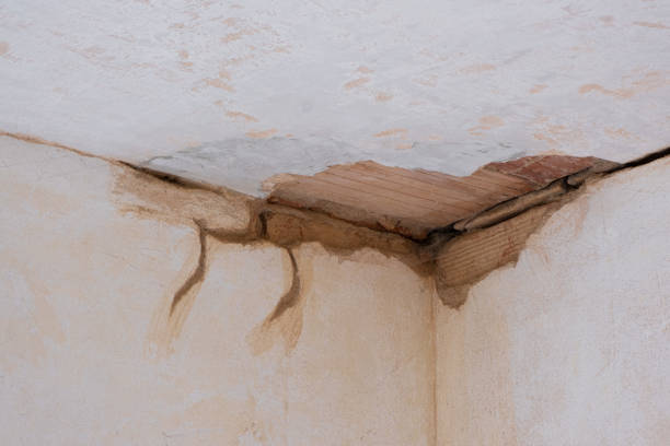 Best Flooded house restoration  in Tustin, CA