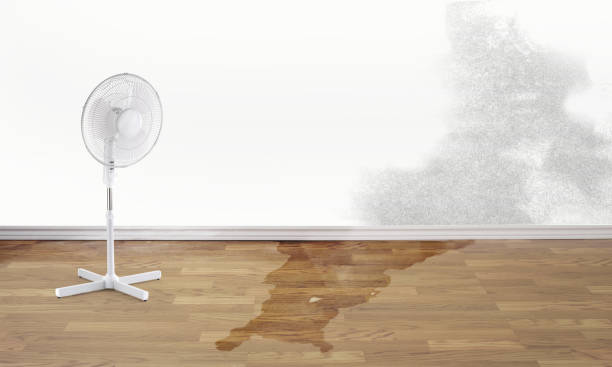 Best Sewage cleanup and water damage restoration  in Tustin, CA